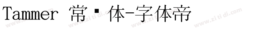 Tammer 常规体字体转换